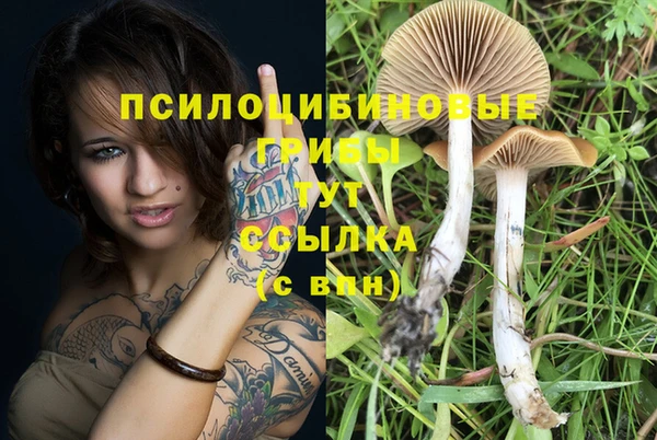 мескалин Белокуриха