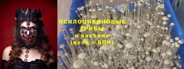 мескалин Белокуриха