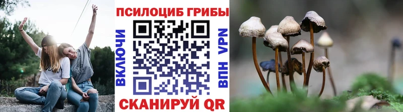 Псилоцибиновые грибы GOLDEN TEACHER Мариинский Посад